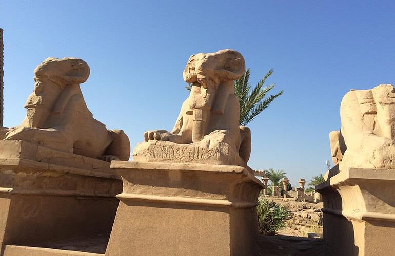 Tagesausflug von El Gouna nach Luxor mit eigenem Guide 