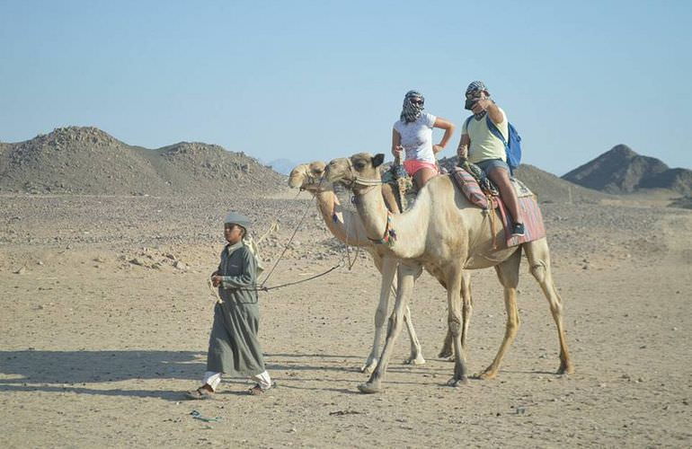 Private Buggy Tour in El Gouna am Morgen mit Kamelreiten