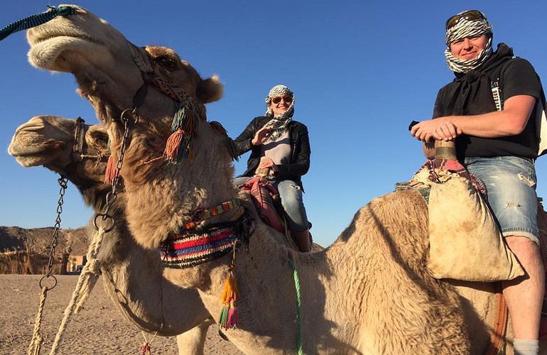 Private Buggy Tour in El Gouna am Morgen mit Kamelreiten