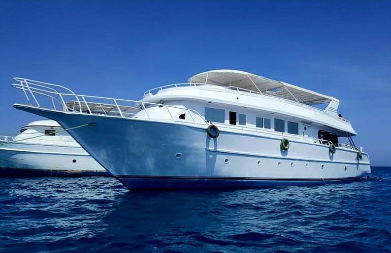 Private Delfin Tour in El Gouna - Privater Bootsausflug zum Schnorcheln