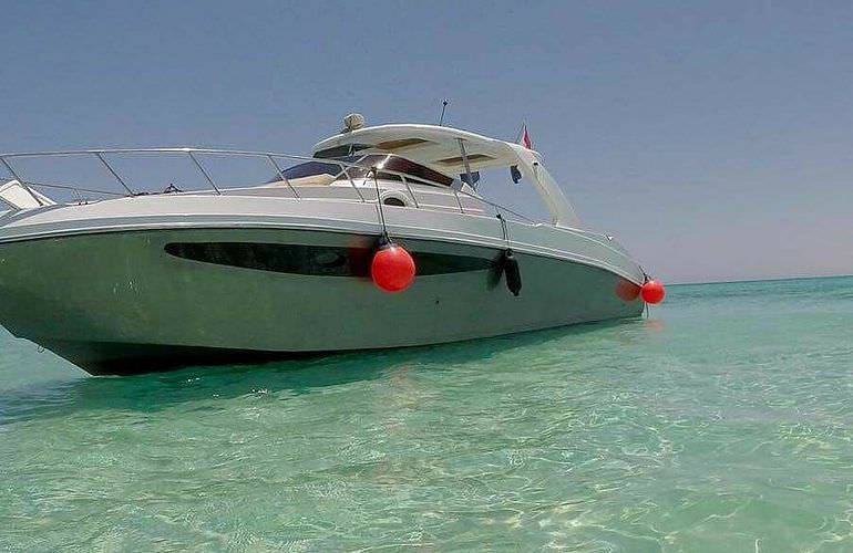 Privater Ausflug zu den Delfinen mit Speedboot ab El Gouna