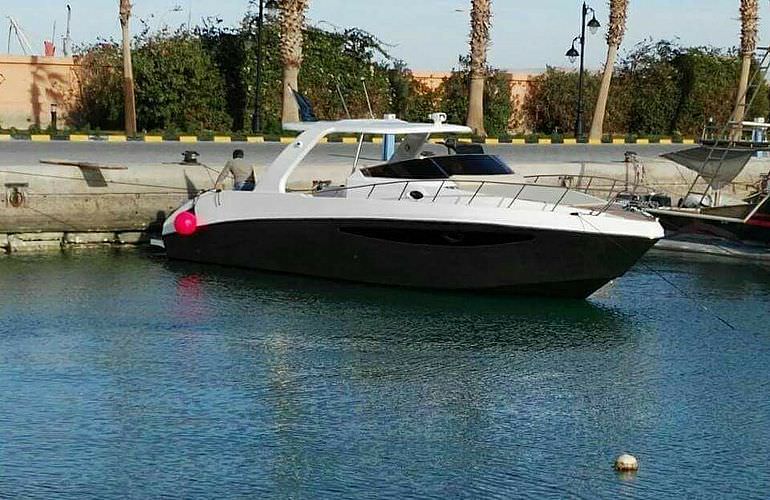 Privater Ausflug zu den Delfinen mit Speedboot ab El Gouna