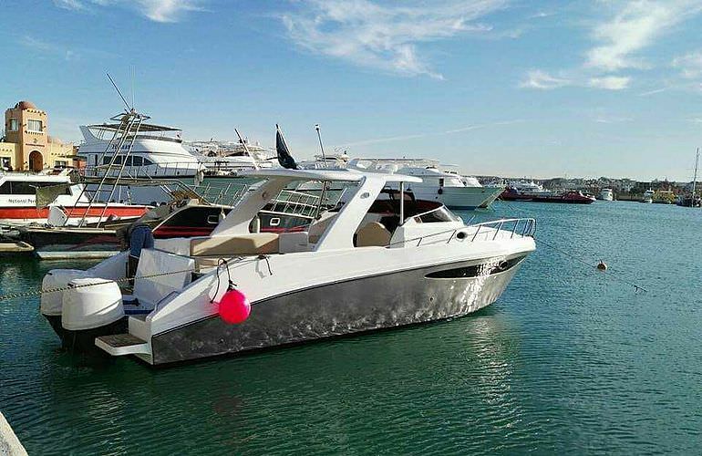 Privater Ausflug zu den Delfinen mit Speedboot ab El Gouna