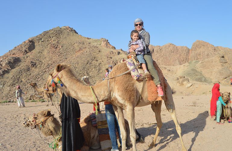 Private Quad Tour für Familien mit Kindern in El Gouna