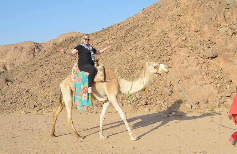 Private Quad Tour für Familien mit Kindern in El Gouna