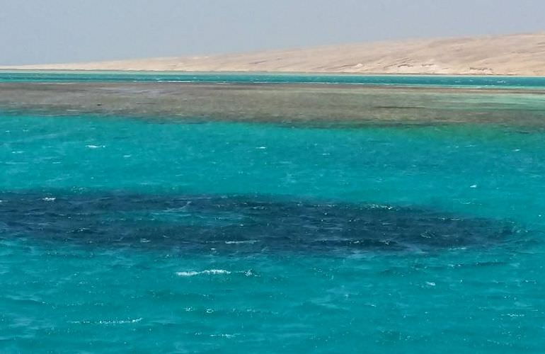 Tagesausflug von El Gouna zur Giftun Insel