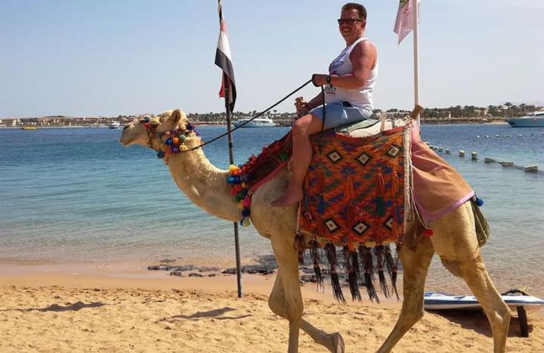 Kamelreiten in El Gouna: Reiten am Strand oder in der Wüste