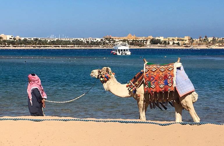 Kamelreiten in El Gouna: Reiten am Strand oder in der Wüste