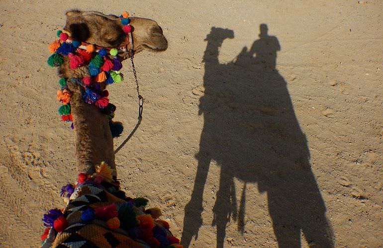 Kamelreiten in El Gouna: Reiten am Strand oder in der Wüste