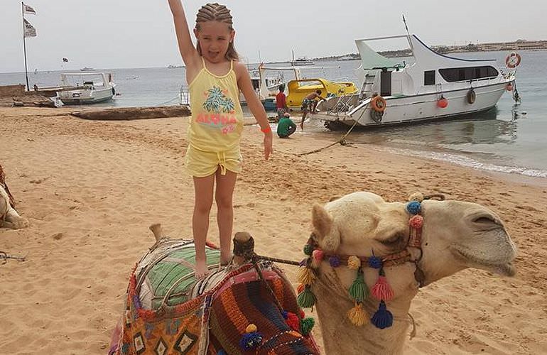 Kamelreiten in El Gouna: Reiten am Strand oder in der Wüste