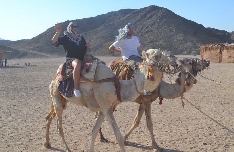 Kombi-Wüstentour in El Gouna: Quad, Jeep, Buggy und Kamelreiten