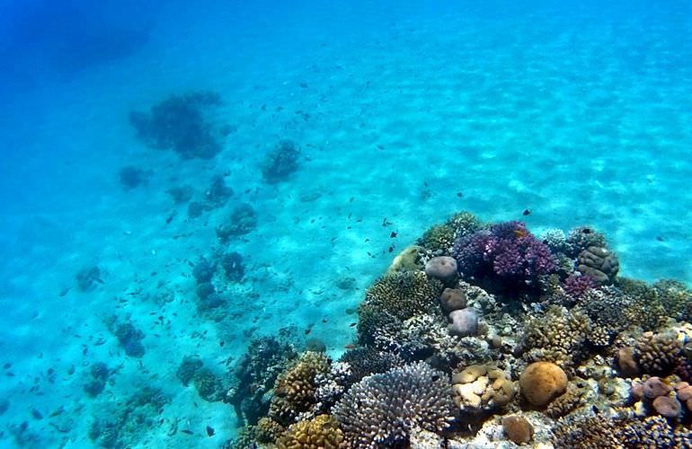 Ganztagestour von El Gouna zur Orange Bay Insel im großen Boot