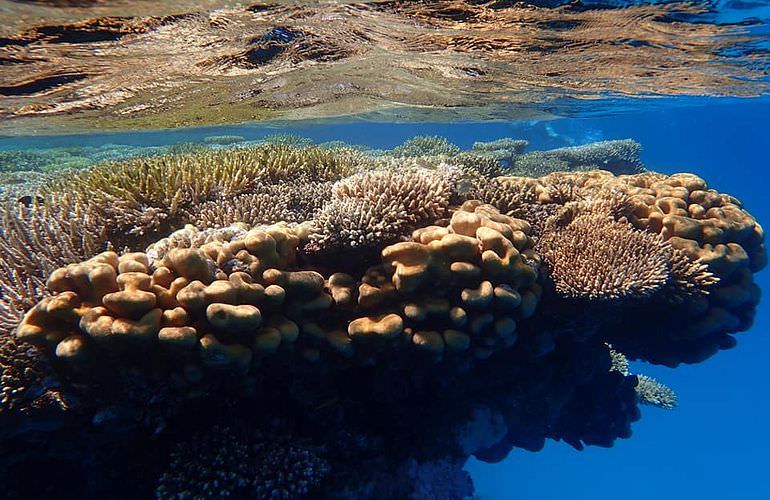 Ganztagestour von El Gouna zur Orange Bay Insel im großen Boot