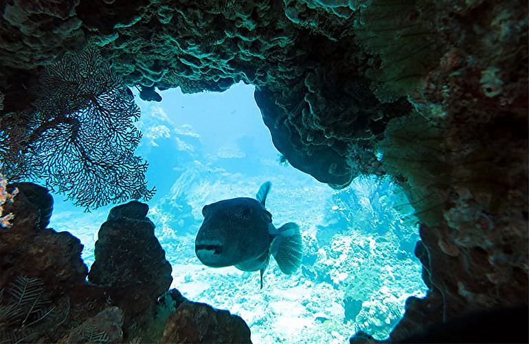 Ganztagestour von El Gouna zur Orange Bay Insel im großen Boot