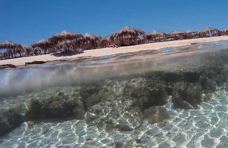 Ausflug von El Gouna zur Paradies Insel mit dem Boot 