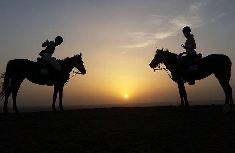 Pferde Reiten in El Gouna : Reiten am Strand oder in der Wüste