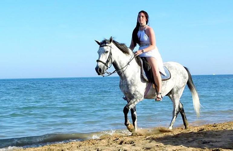 Pferde Reiten in El Gouna : Reiten am Strand oder in der Wüste