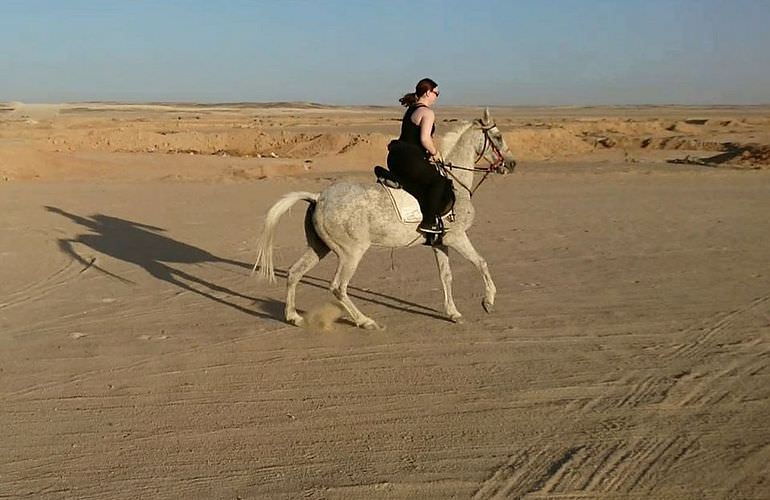 Pferde Reiten in El Gouna : Reiten am Strand oder in der Wüste