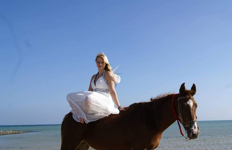 Pferde Reiten in El Gouna : Reiten am Strand oder in der Wüste