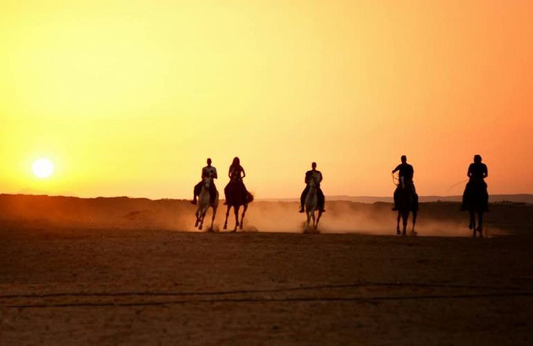 Pferde Reiten in El Gouna : Reiten am Strand oder in der Wüste