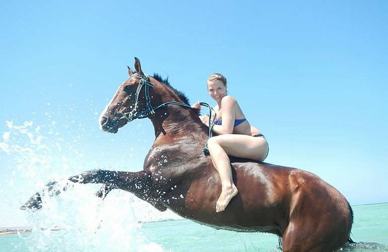 Pferde Reiten in El Gouna : Reiten am Strand oder in der Wüste