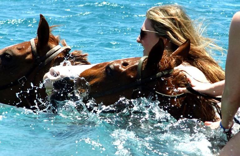 Pferde Reiten in El Gouna : Reiten am Strand oder in der Wüste