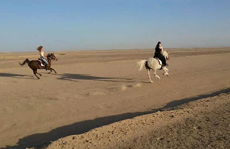 Pferde Reiten in El Gouna : Reiten am Strand oder in der Wüste