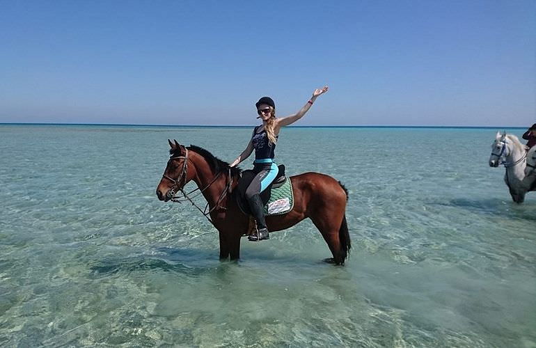 Pferde Reiten in El Gouna : Reiten am Strand oder in der Wüste