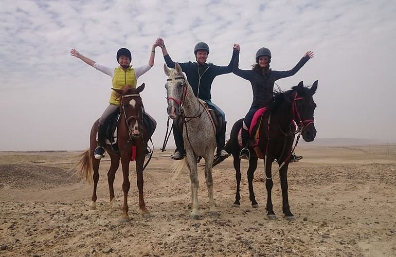 Pferde Reiten in El Gouna : Reiten am Strand oder in der Wüste