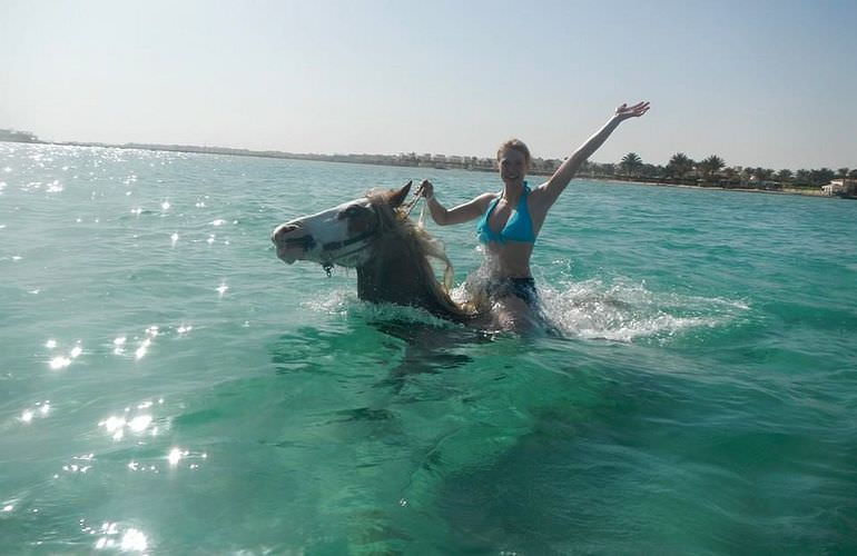 Pferde Reiten in El Gouna : Reiten am Strand oder in der Wüste