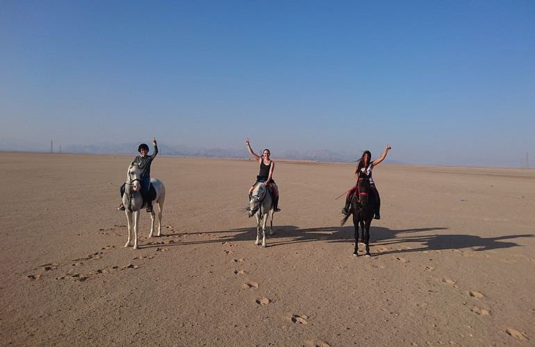 Pferde Reiten in El Gouna : Reiten am Strand oder in der Wüste