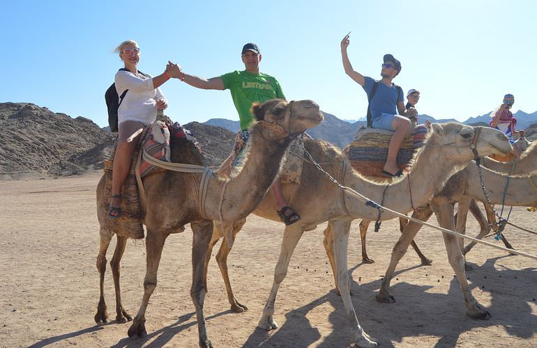 Quad Abenteuer in El Gouna: Private Tour durch die Wüste mit Abendessen
