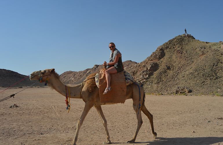 Quad Abenteuer in El Gouna: Private Tour durch die Wüste mit Abendessen