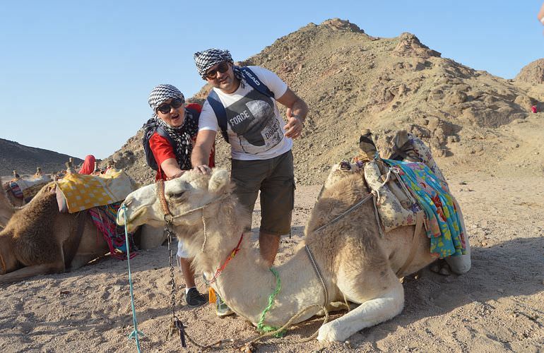 Quad Fahren El Gouna: Privat, sportlich oder langsam - Abenteuer Wüste wie Sie es wünschen