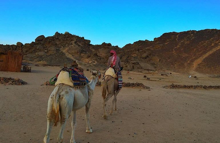 Quad Safari am Morgen durch die Wüste von El Gouna mit Kamelreiten