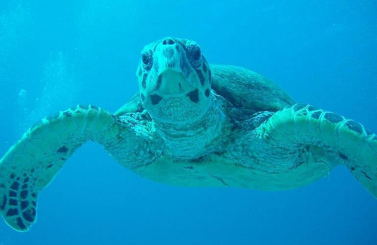 PADI Advanced Open Water Diver, Tauchkurs für Fortgeschrittene in El Gouna