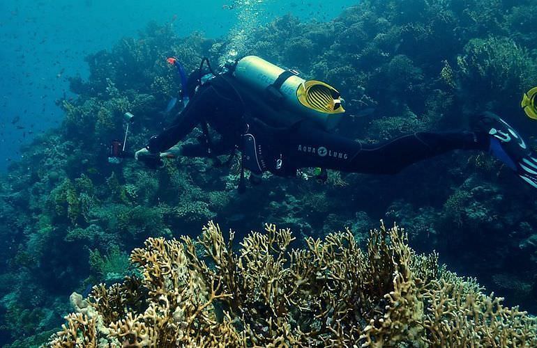 PADI Open Water Diver, der Einsteiger Tauchkurs in El Gouna