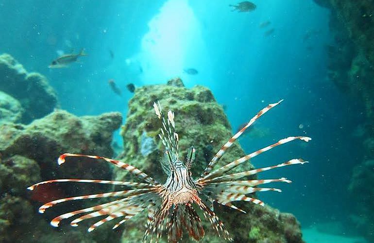 PADI Open Water Diver, der Einsteiger Tauchkurs in El Gouna