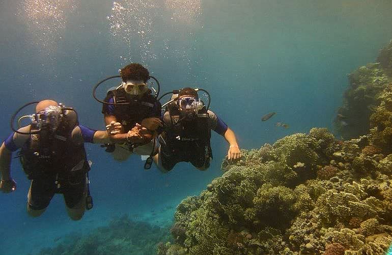 PADI Scuba Diver Kurs in El Gouna - Schnuppertauchkurs 1 Tag