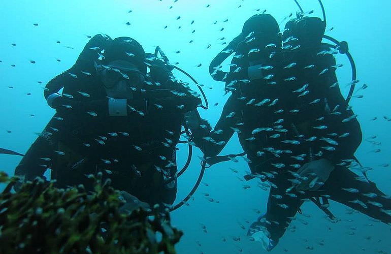 Tauchausflüge für Fortgeschrittene und Anfänger ab El Gouna