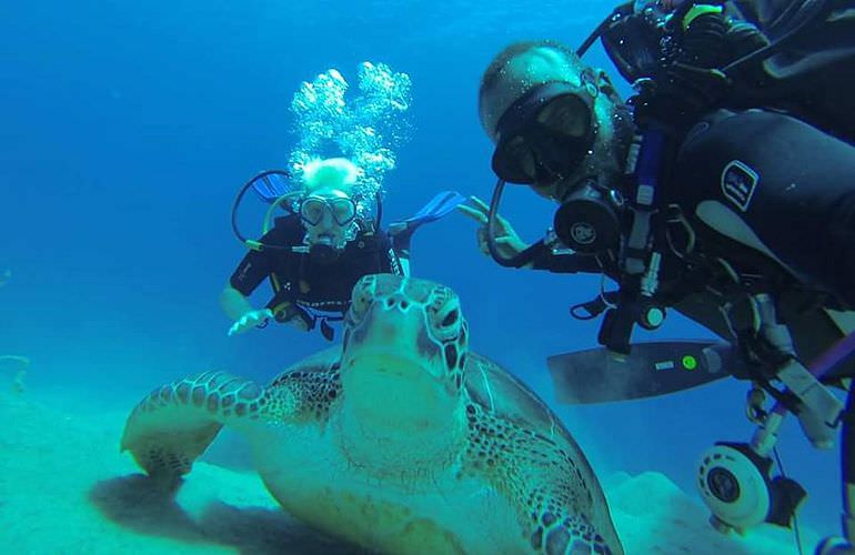 Auffrischungskurs: PADI Scuba Review Programm in El Gouna