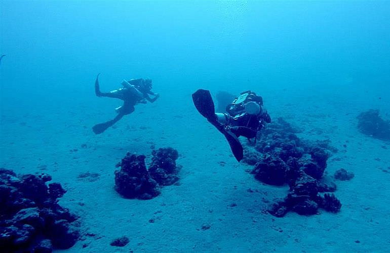 Tauchausflüge für Fortgeschrittene und Anfänger ab El Gouna