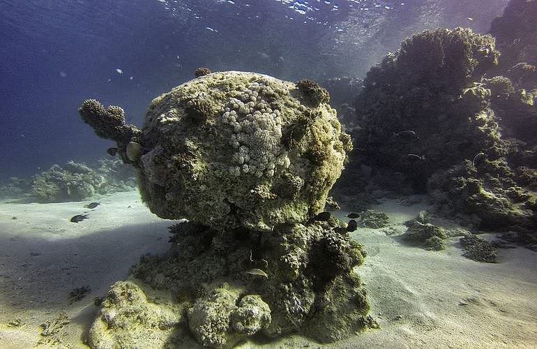 PADI Advanced Open Water Diver, Tauchkurs für Fortgeschrittene in El Gouna