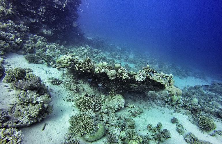 Auffrischungskurs: PADI Scuba Review Programm in El Gouna