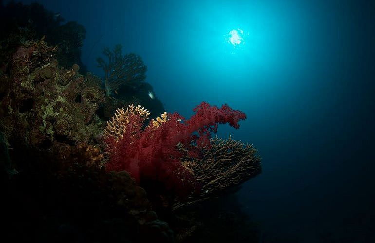 Fun Diving El Gouna - Ganztägige Tauchfahrt mit 2 Tauchgängen