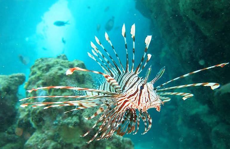 Fun Diving El Gouna - Ganztägige Tauchfahrt mit 2 Tauchgängen