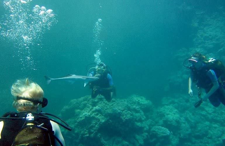 PADI Scuba Diver Kurs in El Gouna - Schnuppertauchkurs 1 Tag