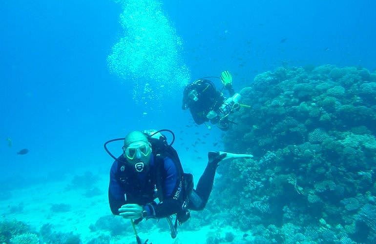 Fun Diving El Gouna - Ganztägige Tauchfahrt mit 2 Tauchgängen