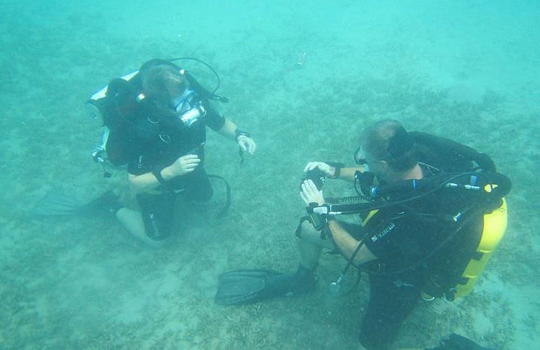 Auffrischungskurs: PADI Scuba Review Programm in El Gouna