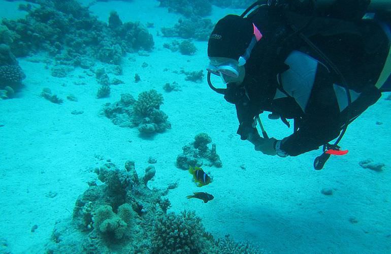 Auffrischungskurs: PADI Scuba Review Programm in El Gouna